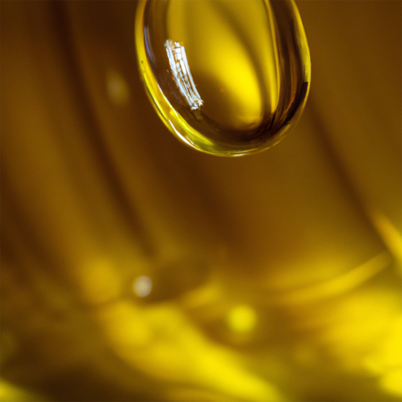 JOJOBA OIL REFINED image 2